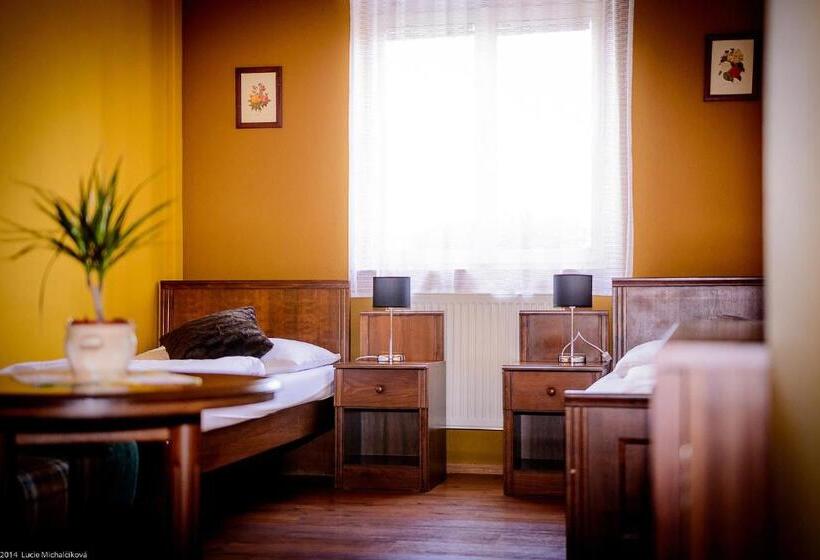 Пансион Penzion Pod Kašnou