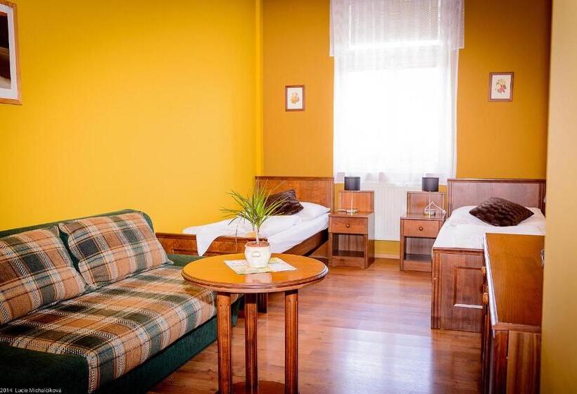 Пансион Penzion Pod Kašnou