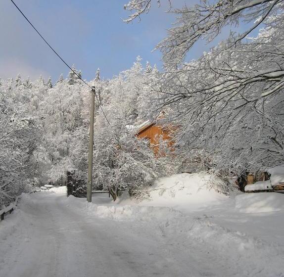 Пансион Penzion U Strakatého Koně