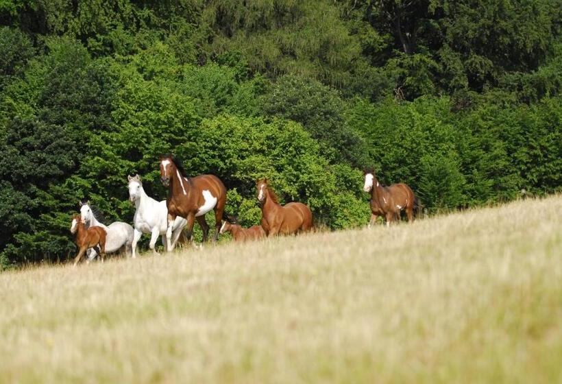 Пансион Penzion U Strakatého Koně