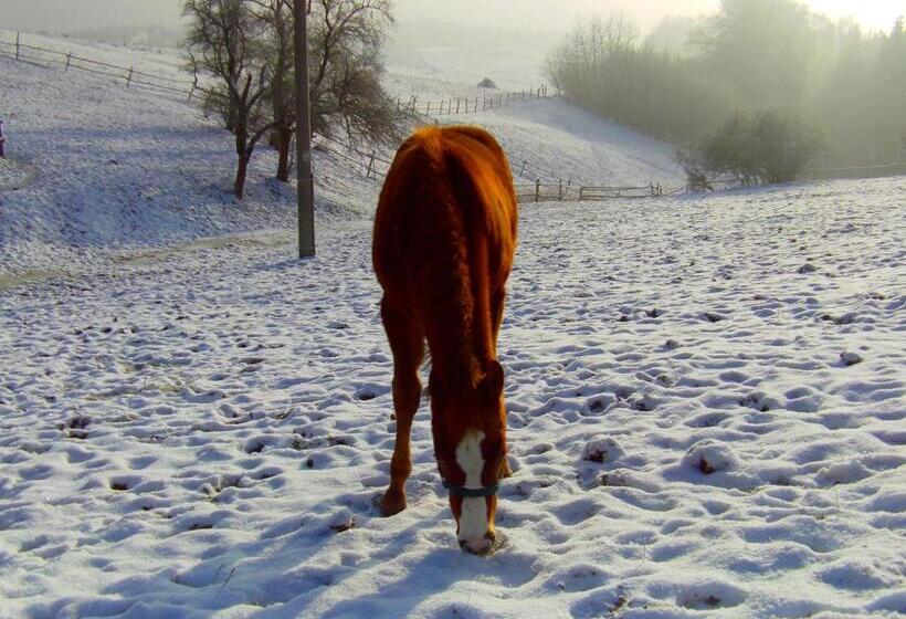 Пансион Penzion U Strakatého Koně