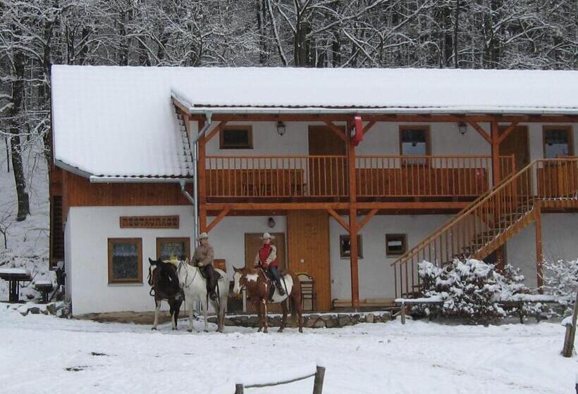 Пансион Penzion U Strakatého Koně