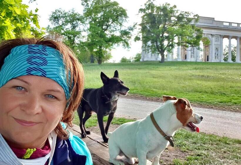 بنسيون Penzion U Vlků