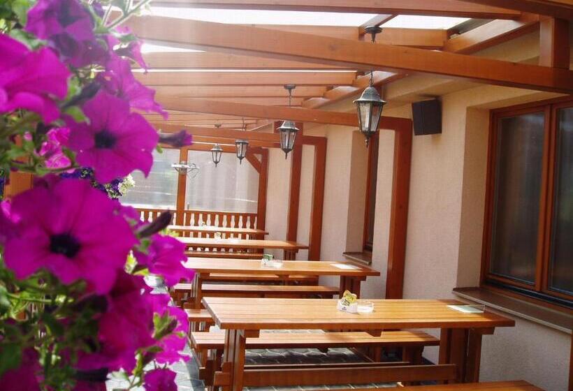 بنسيون Penzion U Vlků