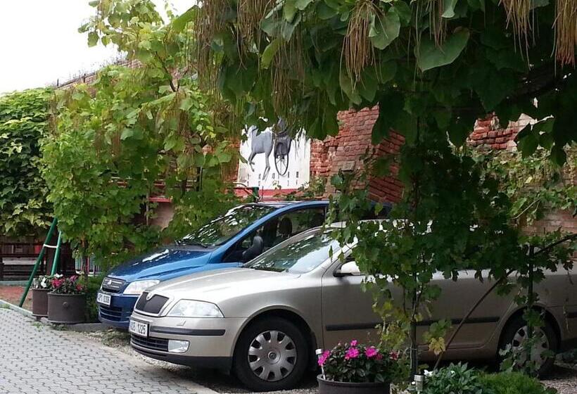 بنسيون Penzion U Vlků