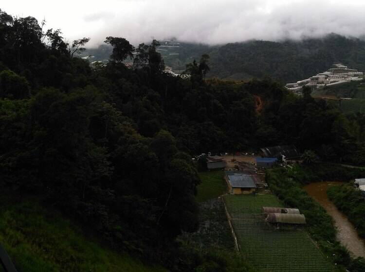 בית מלון כפרי The Pines