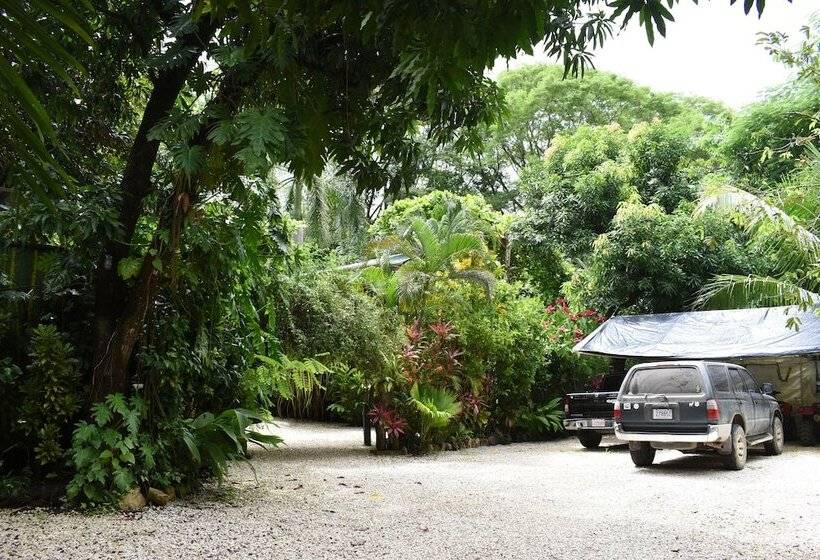 Pachamama Lodge Hostel