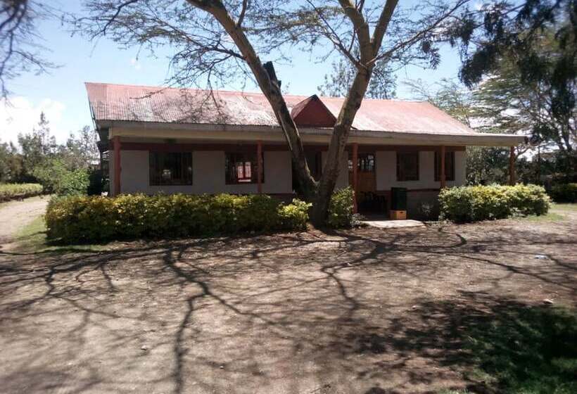 بنسيون Enkishomi