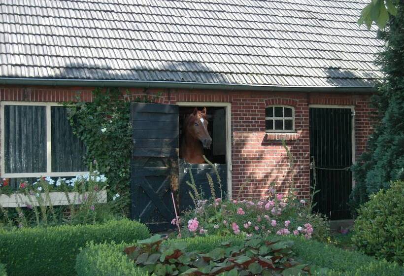 Пансион Erve Het Roolvink