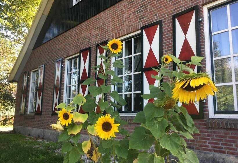 Пансион Erve Het Roolvink