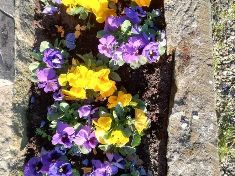 Пансион Erve Het Roolvink