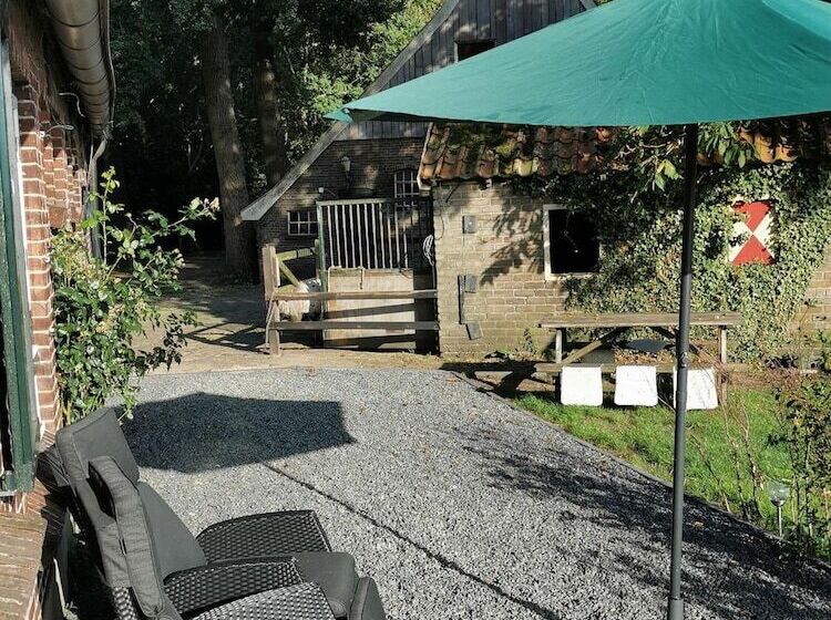 Пансион Erve Het Roolvink