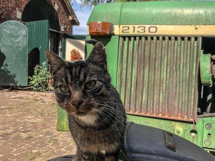 Пансион Erve Het Roolvink