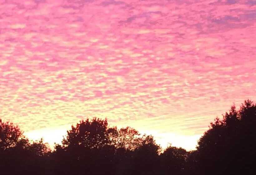 Пансион Erve Het Roolvink