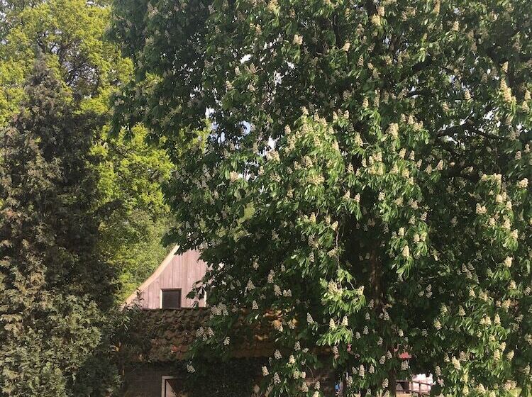 Пансион Erve Het Roolvink