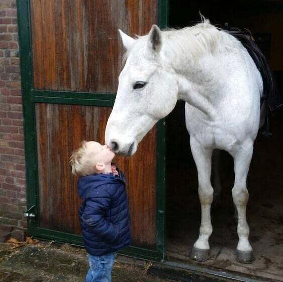 Пансион Erve Het Roolvink