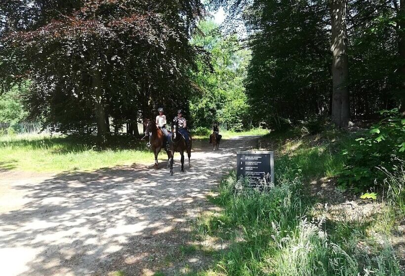 Пансион Erve Het Roolvink