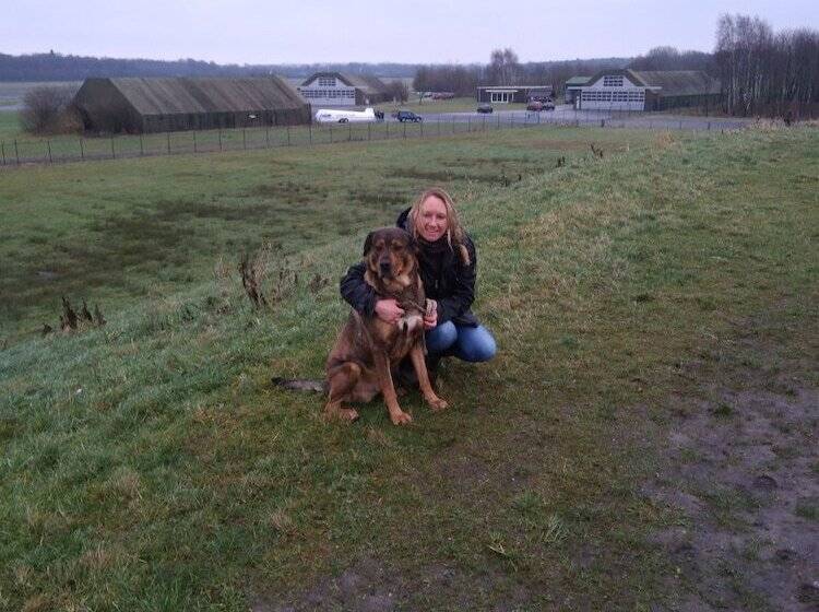 Пансион Erve Het Roolvink