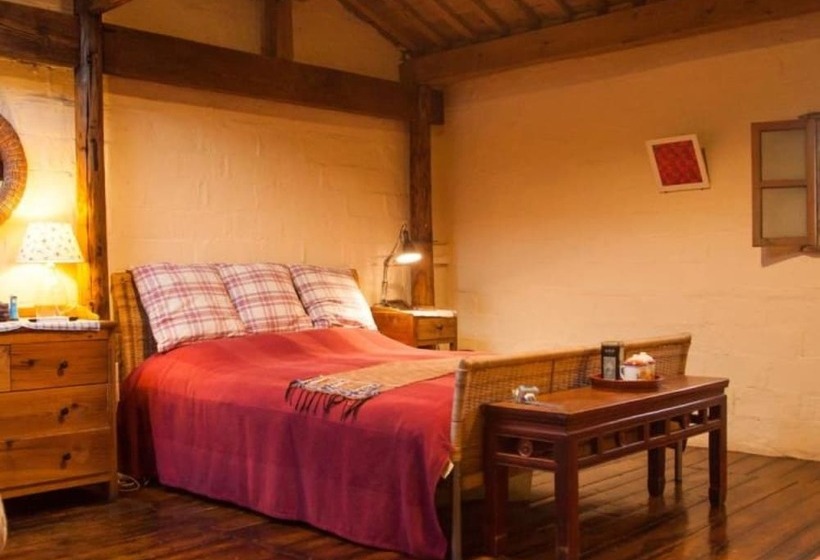 Pig S Inn Huangshan Xidi