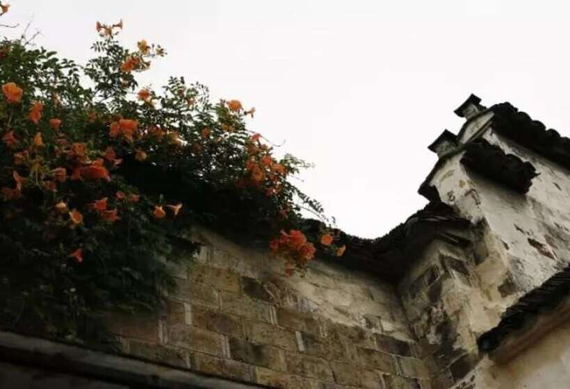 Pig S Inn Huangshan Xidi