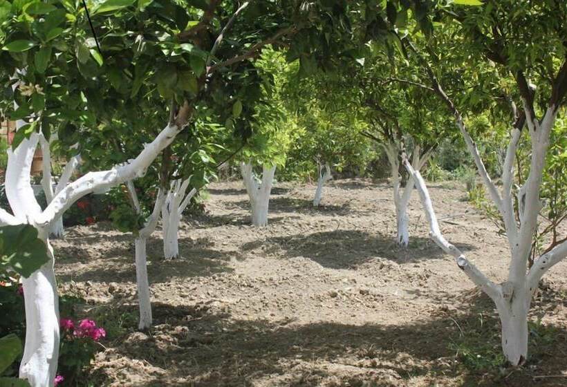 פנסיון Hariklia Rent Rooms