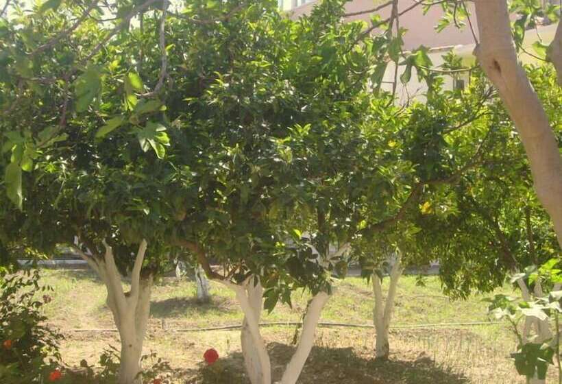 פנסיון Hariklia Rent Rooms