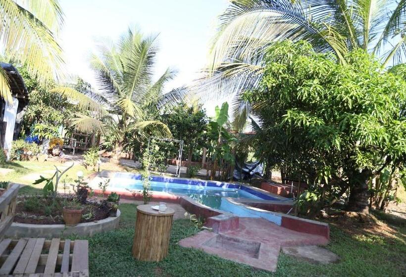 Resort The Hammock Goa