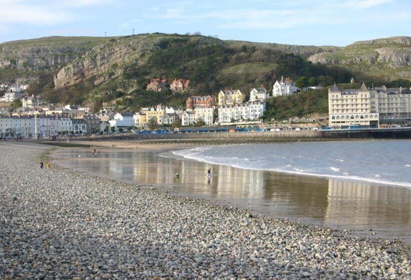 Отель Bryn Y Mor