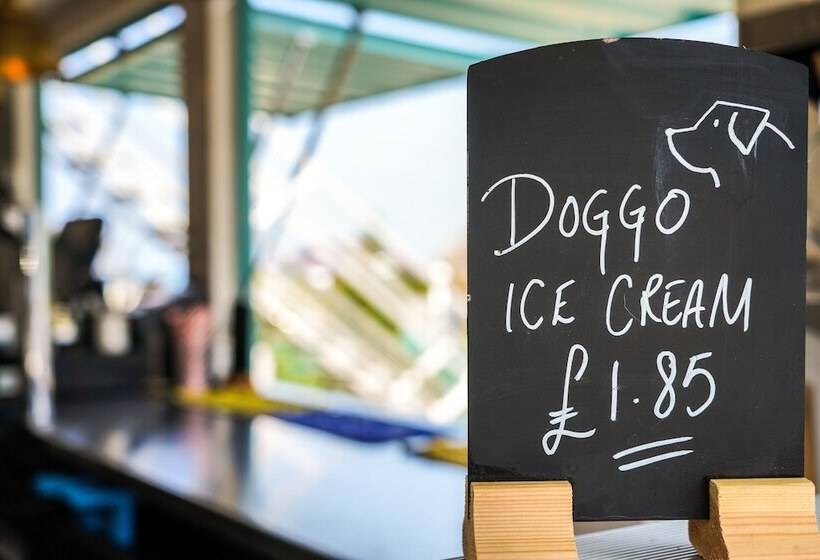 فندق Driftwood Spars