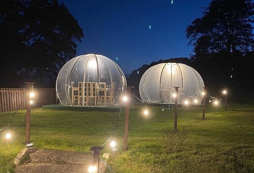 Отель Ernespie House