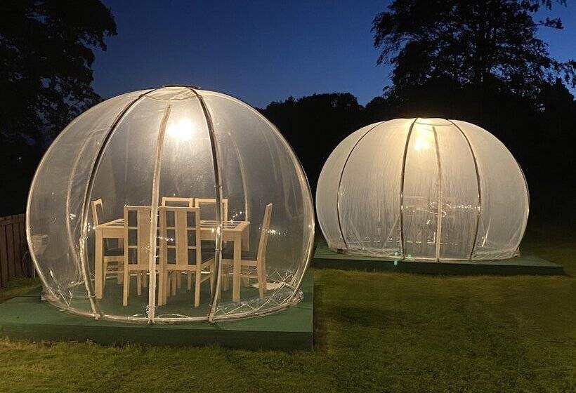 Отель Ernespie House