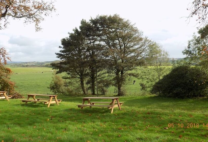 酒店 Ernespie House