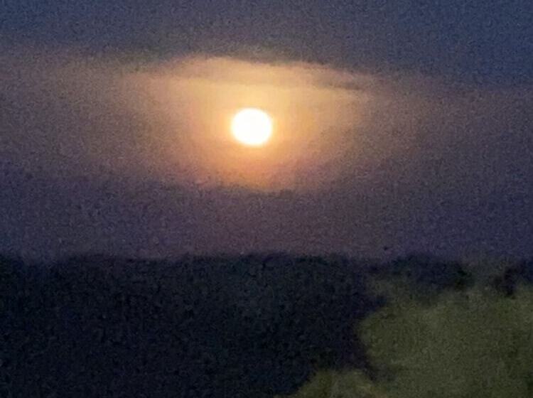 酒店 Ernespie House