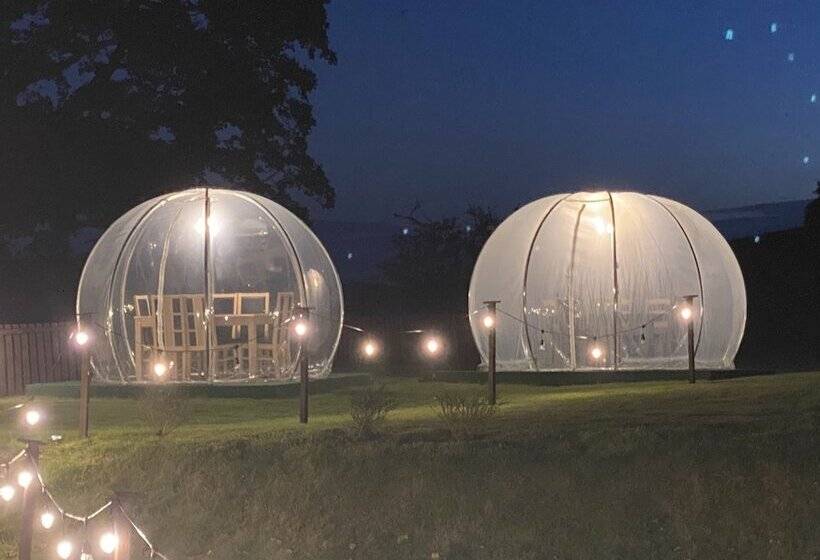 Отель Ernespie House