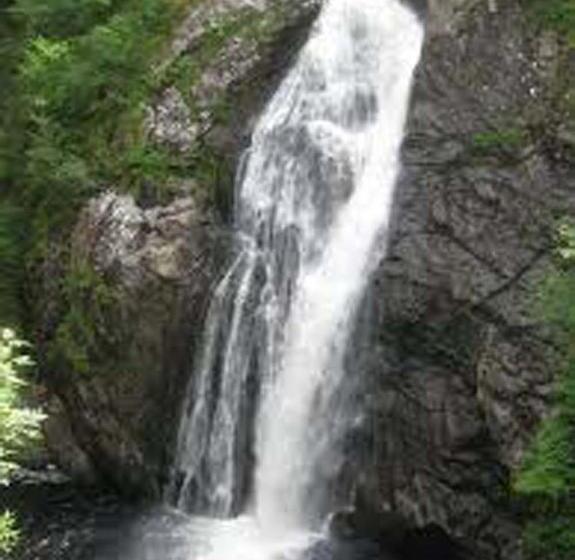 Отель Foyers House