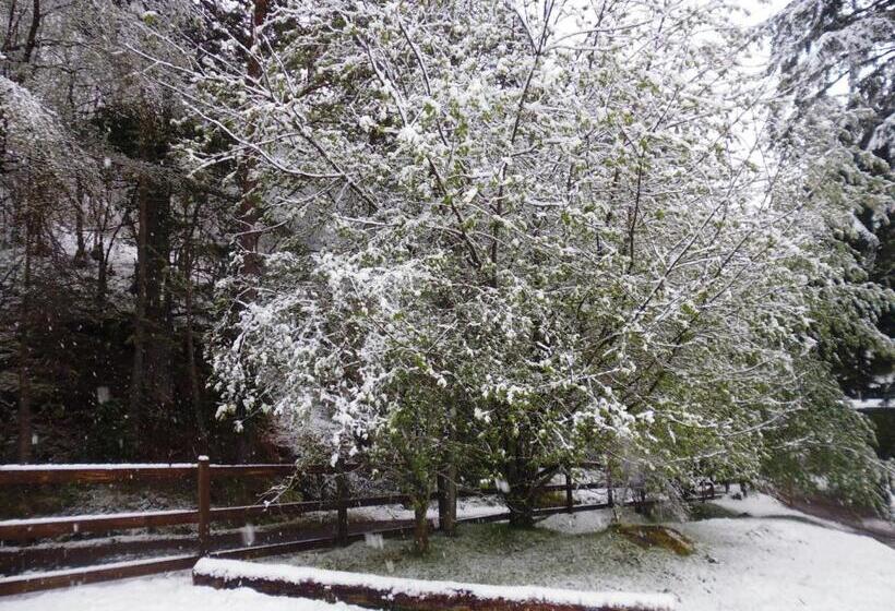 Отель Foyers House