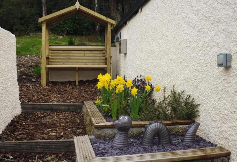 Отель Foyers House