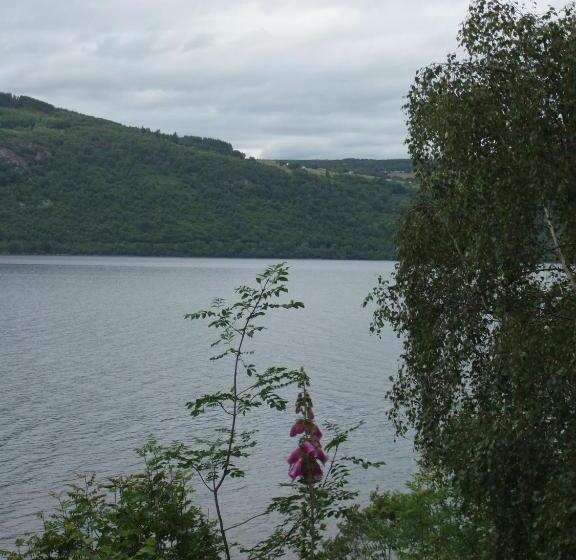 Отель Foyers House