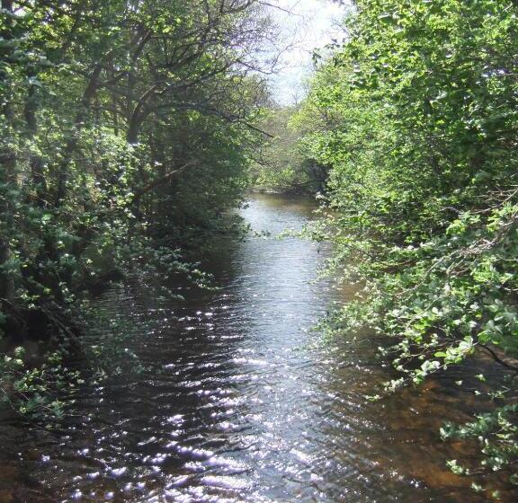 Отель Foyers House