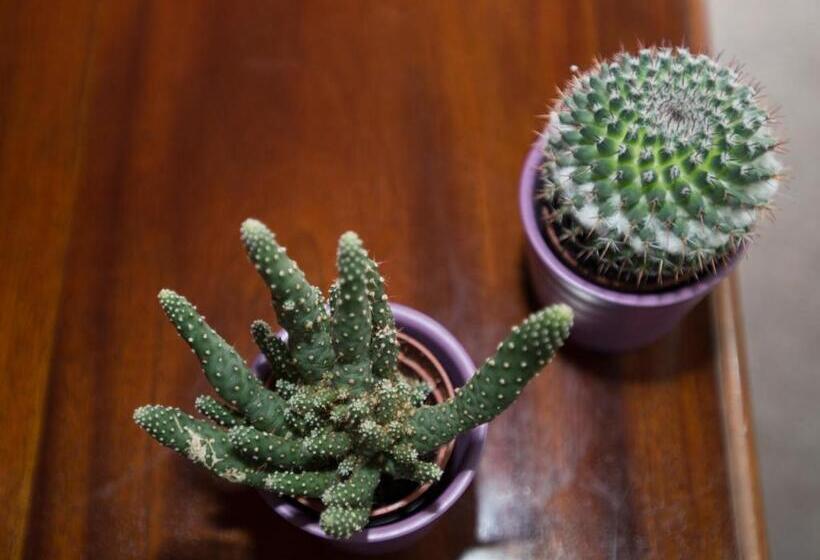 호텔 Gifford House