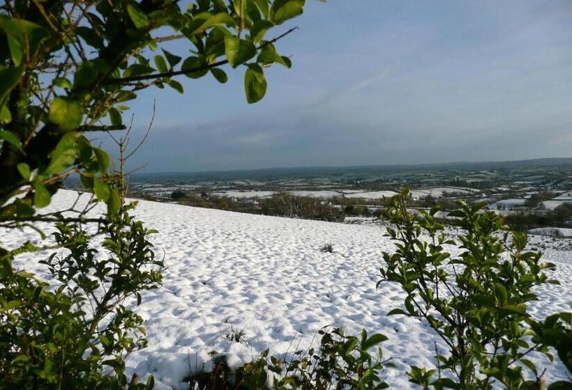 Отель Golden Hill Guest House