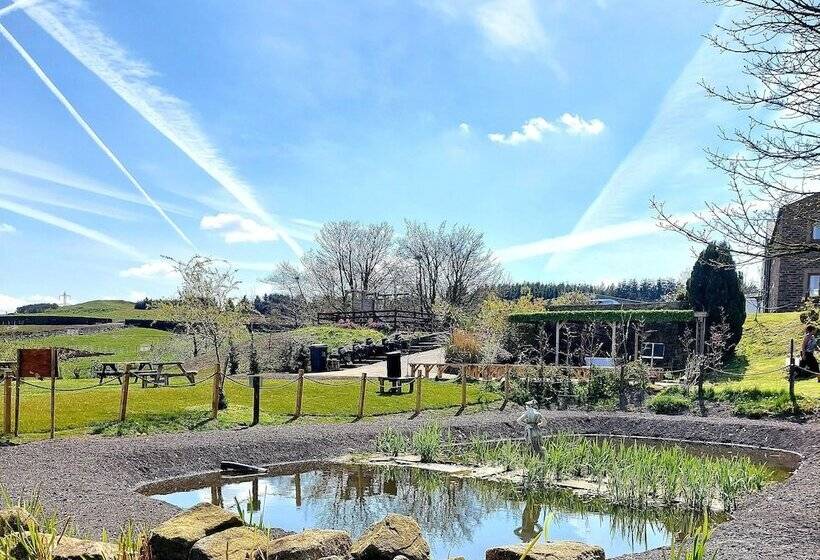 Отель Grains Bar