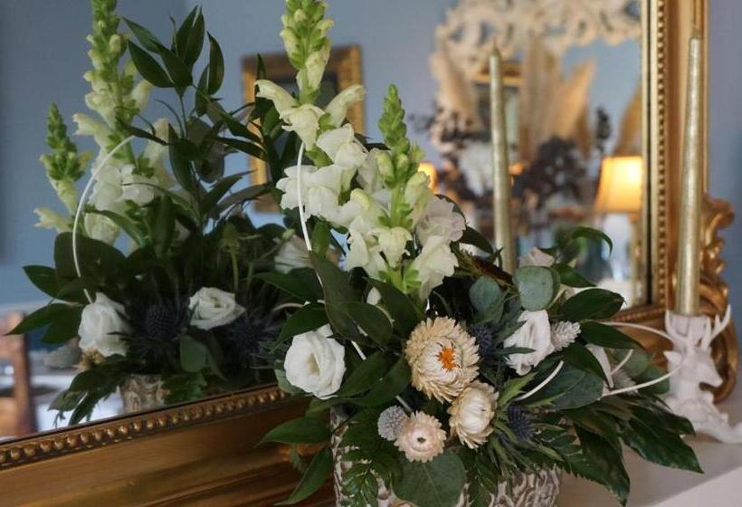 فندق Ivybank Lodge