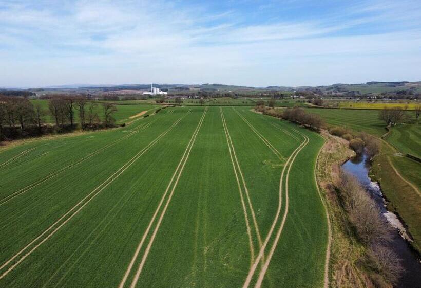 فندق King S Arms