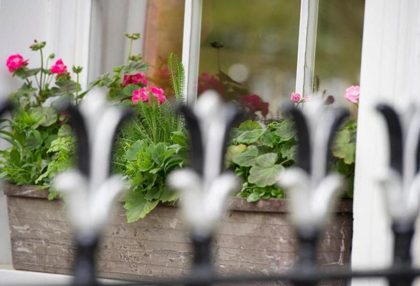 Отель Macdonald