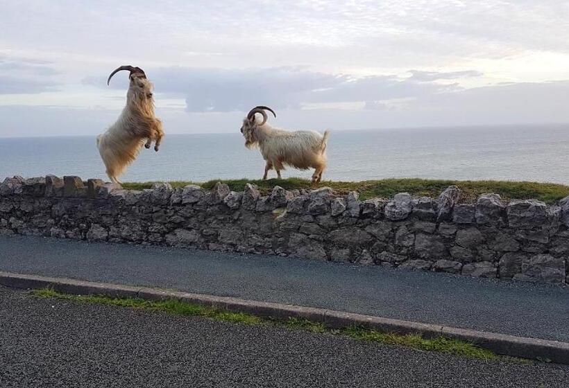 Отель Min Y Don Llandudno