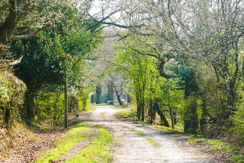 호텔 New Forest Lodge