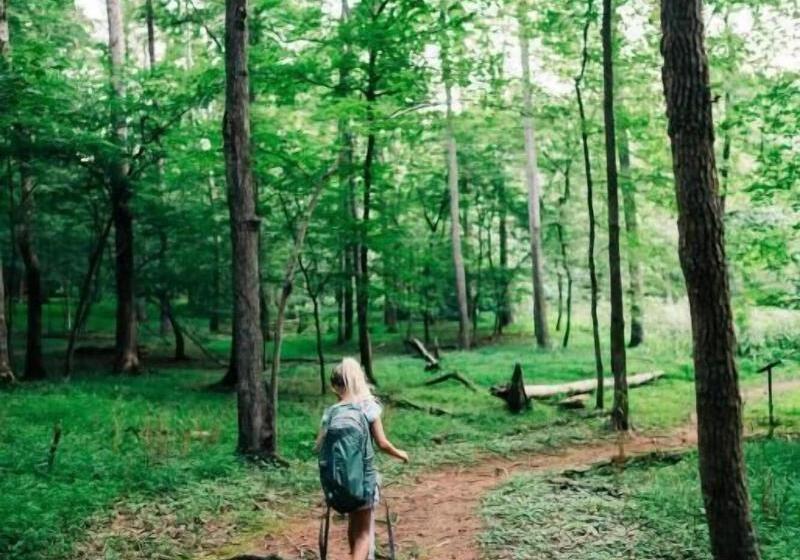 酒店 New Forest Lodge