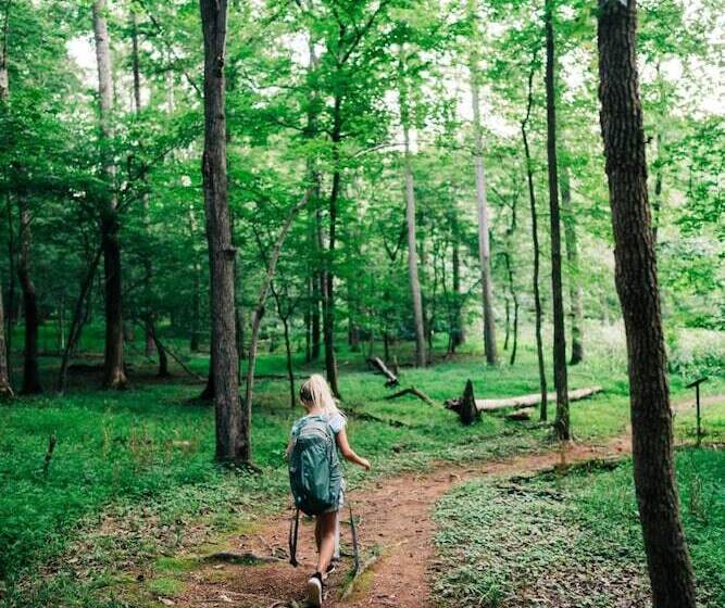 호텔 New Forest Lodge