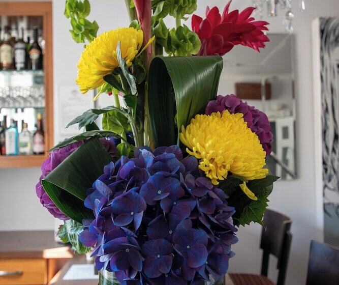 New Steine Hotel B&b